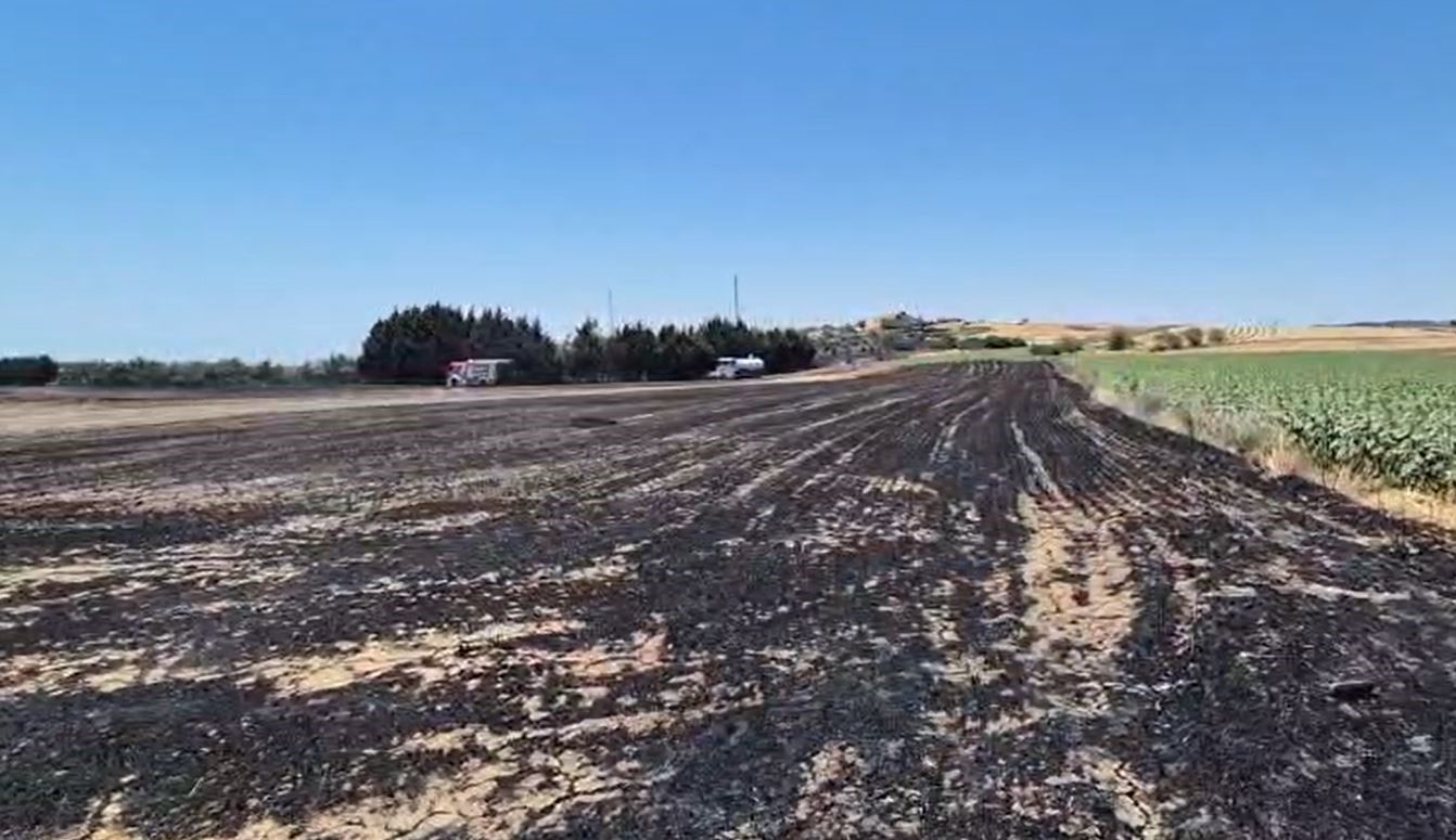 Silivri’de Elektrik Direği Kesimi Sırasında Meydana Gelen Yangın ve Ekili Arazilere Zarar