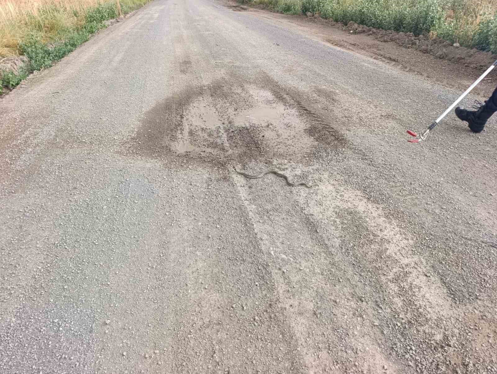 Sivas’ta odun yığınlarının arasına giren yılan itfaiye gruplarını harekete geçirdi