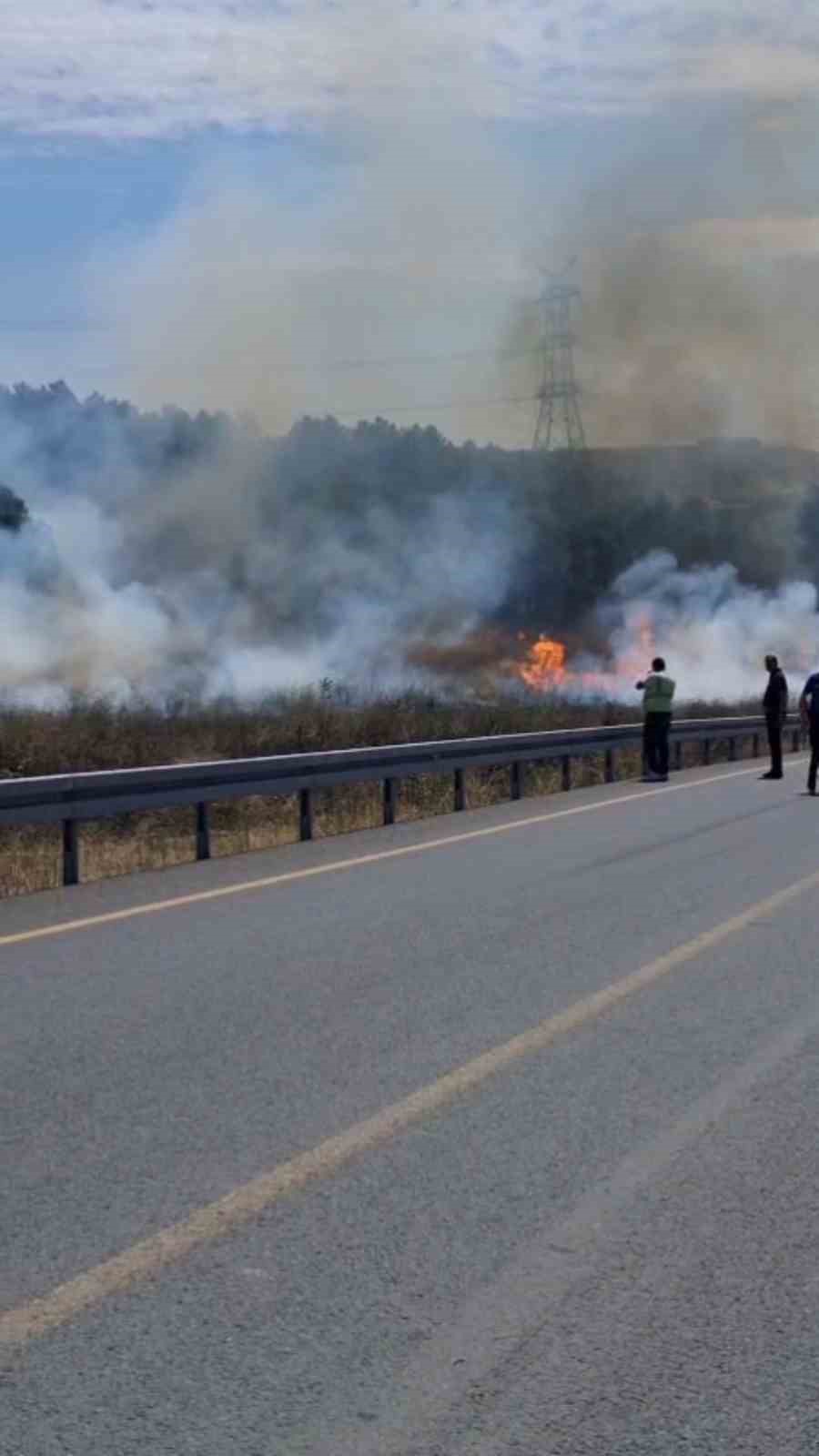 Sultangazi’de otluk alanda çıkan yangın ormana sıçradı