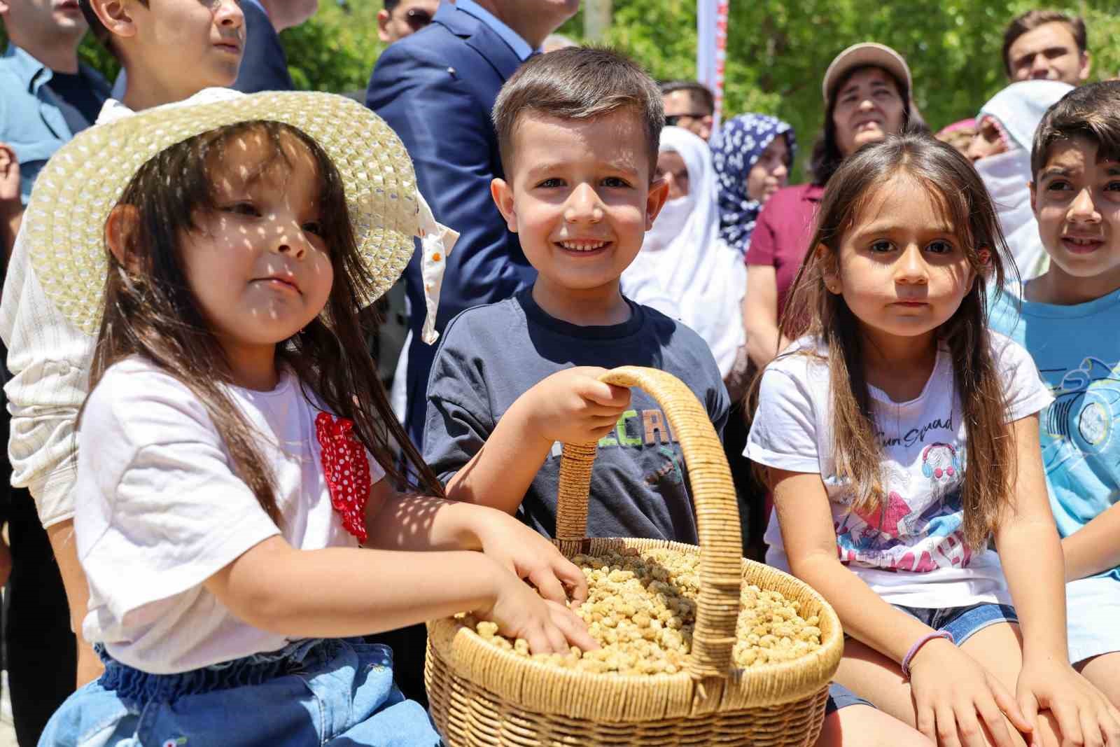 Ulukale Dutunda Bu Yıl 650 Ton Rekolte Beklentisi