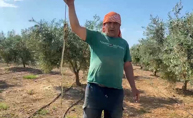 ’Yılanı öldürdüm’ deyip çektirdiği görüntü değerliye mal oldu: 22 bin TL ceza yedi
