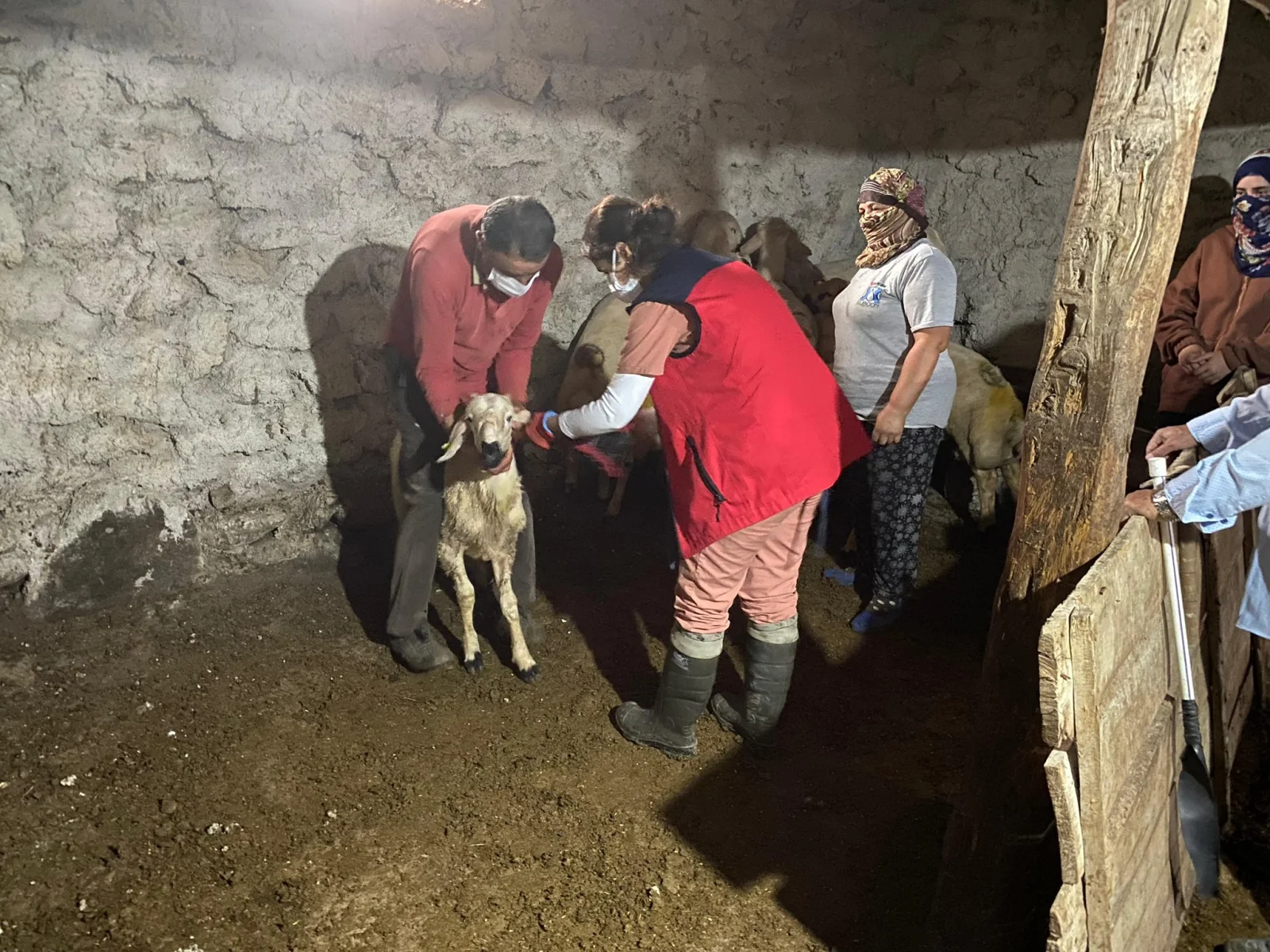 Sivas Gürün'de Tarım ve Gıda Güvenliği İçin Dev Mesai