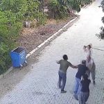 Adana'da Aile İçi Çatışma Sonucu Trajik Olay: Bir Ölü ve Bir Yaralı