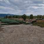Sapanca Gölü İçin Hızlı Müdahale ve Çözüm Planı