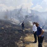 Sivas Akıncılar'da Büyük Yangın: 12 Ev Hasar Gördü ve Ormanlık Alan Tehlike Atlattı
