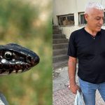 Tunceli'de Tuvalette Bulunan Karayılan Güvenle Doğaya Salındı
